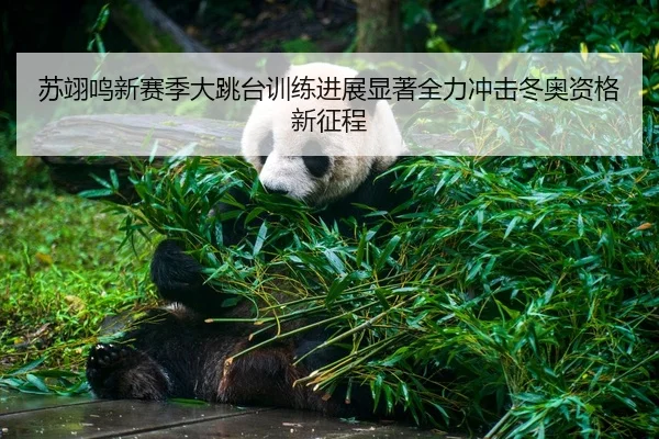 苏翊鸣新赛季大跳台训练进展显著全力冲击冬奥资格新征程